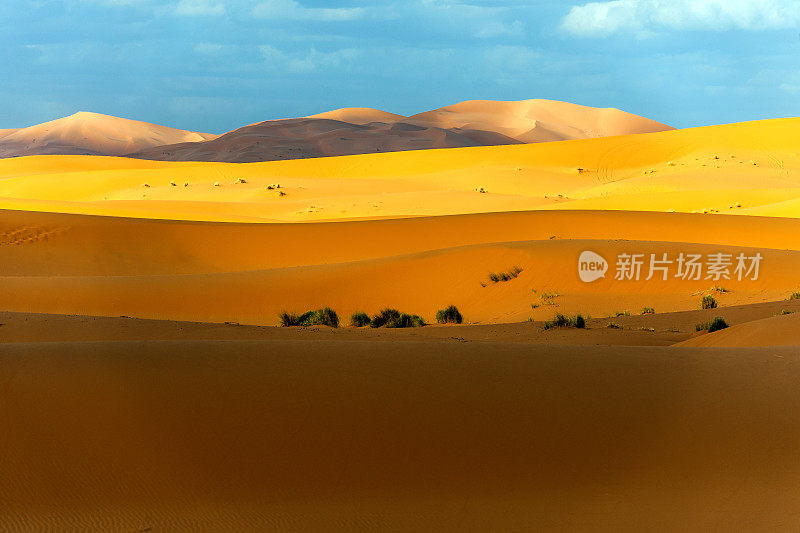 在Erg Chebbi沙漠的沙子，Merzouga，摩洛哥，北非